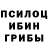 Галлюциногенные грибы GOLDEN TEACHER Zaratystro God