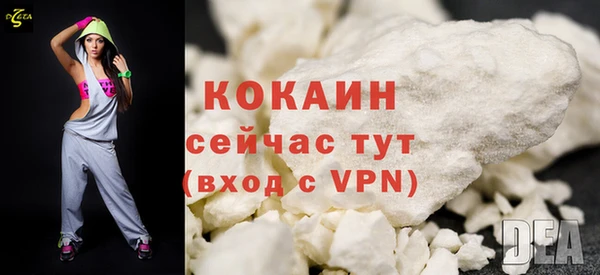 МДПВ Краснослободск