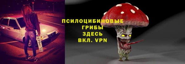 МДПВ Краснослободск