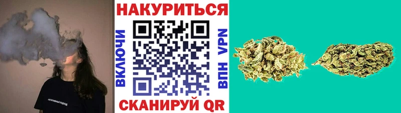 Бошки Шишки тримм  продажа наркотиков  OMG   Пыталово 